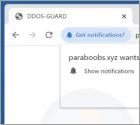 Paraboobs.xyz advertenties