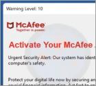 Activate Your McAfee Antivirus License POP-UP Scam