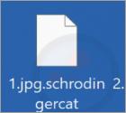 SchrodingerCat Ransomware