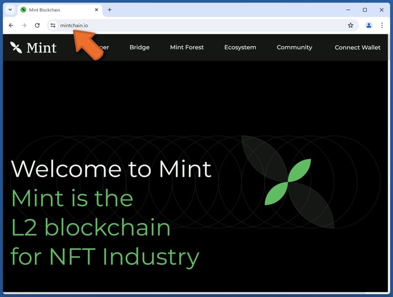 Uiterlijk van de echte Mint website (mintchain.io)