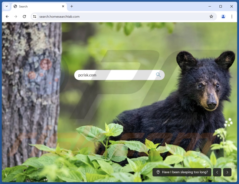 search.homesearchtab.com browser hijacker