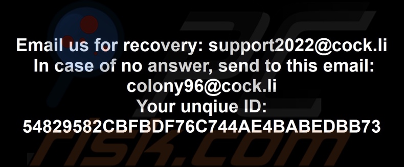 Colony ransomware behang