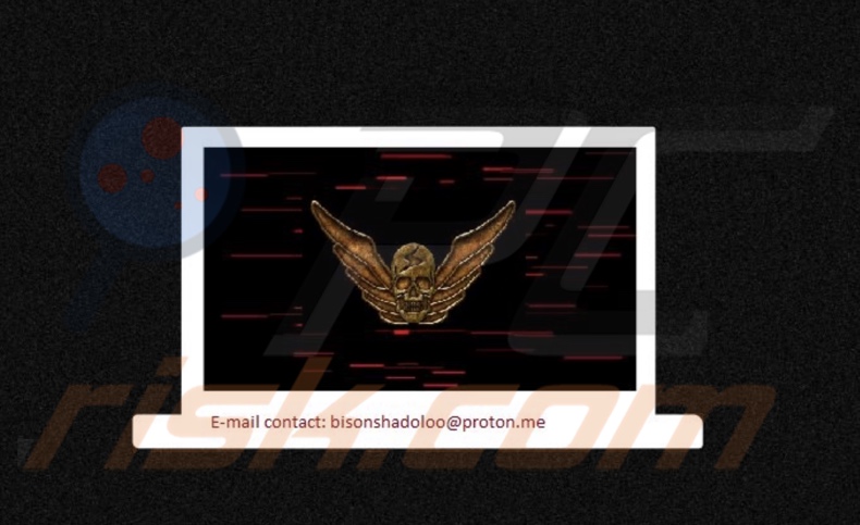 Shadaloo ransomware behang