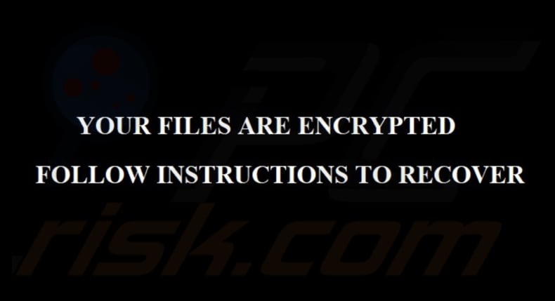 PlayBoy LOCKER ransomware behang