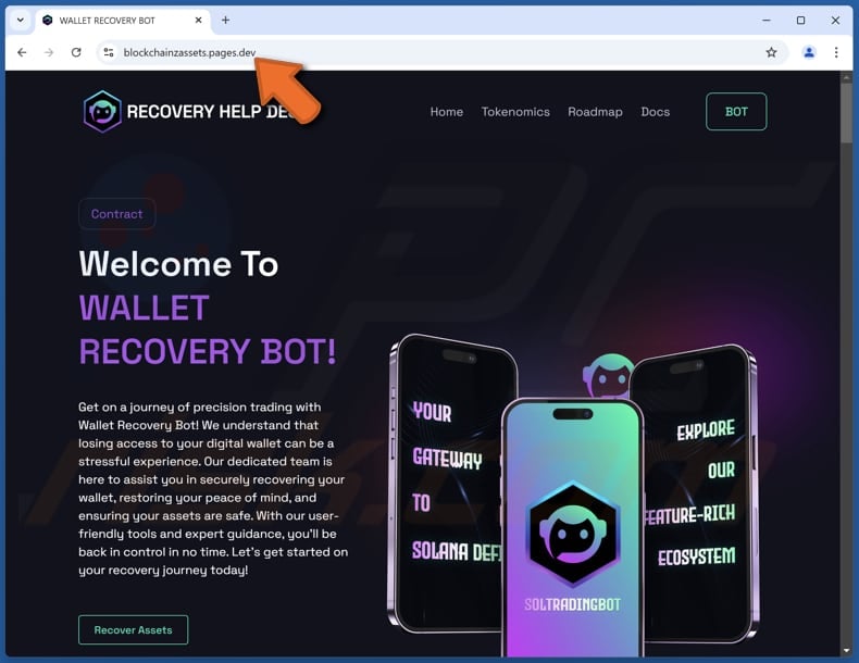 Wallet Recovery Bot oplichterij