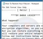 De Babuk Locker ransomware