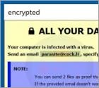 De Paras1te ransomware