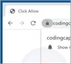 Codingcaptcha.com Ads