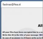 NaS Ransomware