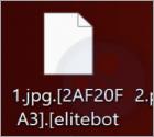 ELITEBOT Ransomware