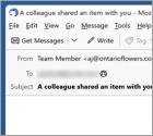 A Team Member Shared An Item Email Oplichting