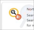 Nep Norton Safe Search Enhanced Extensie