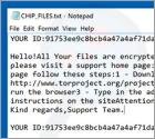 CHIP Ransomware