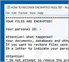 Amnesia Ransomware