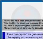 Paradise ransomware