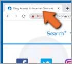 Easy Access to Internet Services browserkaper