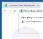 Hajoopteg.com POP-UP doorverwijzing