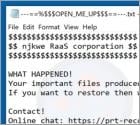 njkwe RaaS corporation ransomware