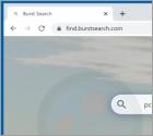 Burst Search browserkaper