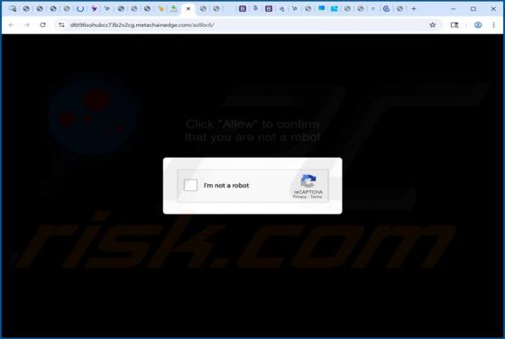 Metachainedge.com Ads