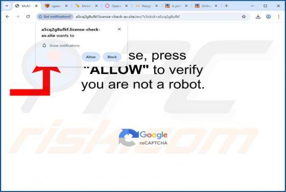 License-check-av.site advertenties