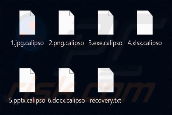 Calipso Ransomware